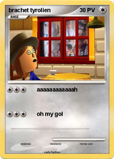 Pokemon brachet tyrolien