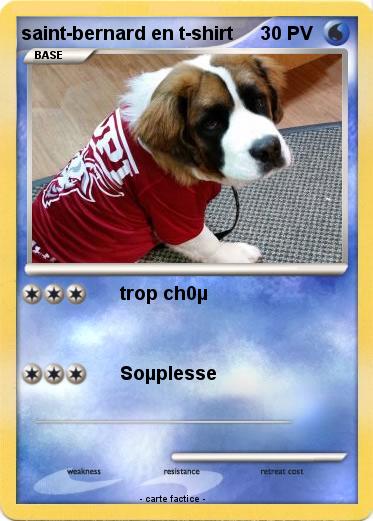 Pokemon saint-bernard en t-shirt