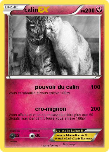 Pokemon calin