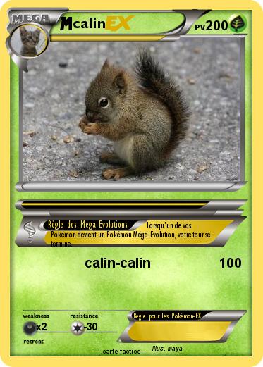Pokemon calin