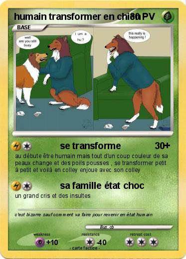 Pokemon humain transformer en chien