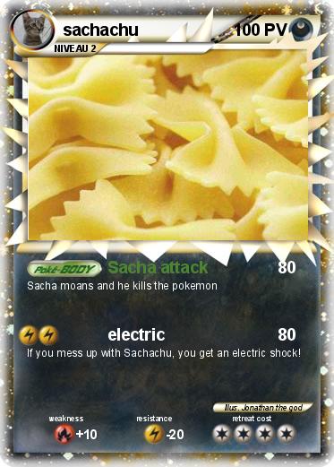 Pokemon sachachu