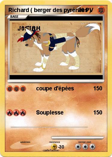 Pokemon Richard ( berger des pyrénées )
