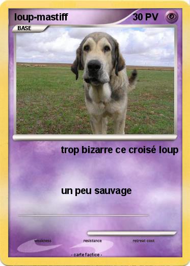 Pokemon loup-mastiff