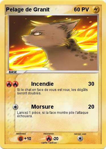 Pokemon Pelage de Granit