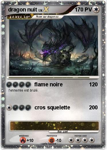 Pokemon dragon nuit