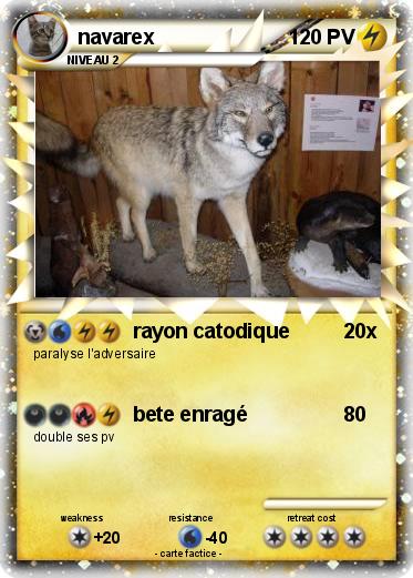 Pokemon navarex