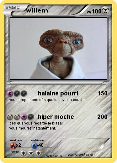 Pokemon willem