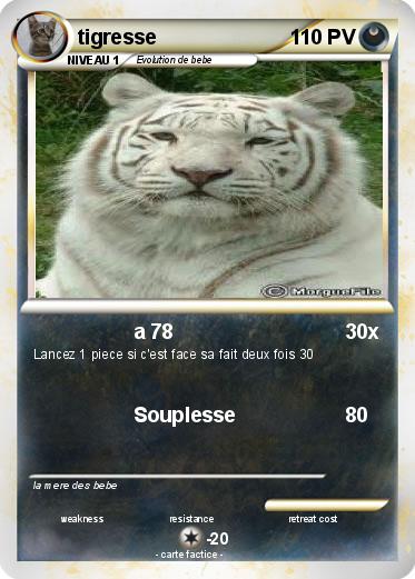 Pokemon tigresse