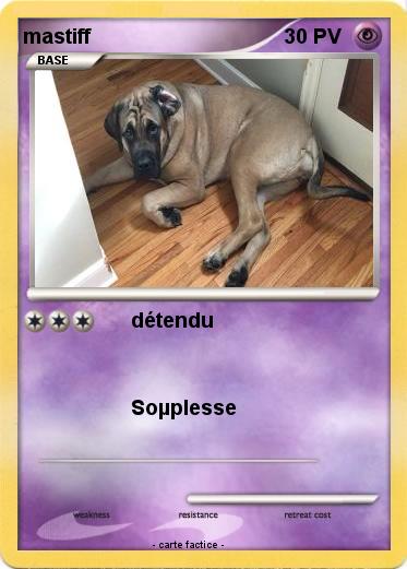 Pokemon mastiff