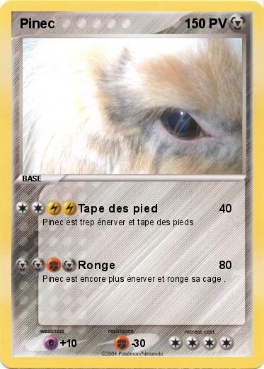 Pokemon Pinec