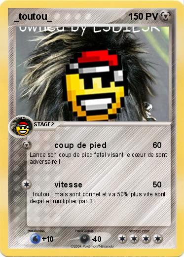 Pokemon _toutou_