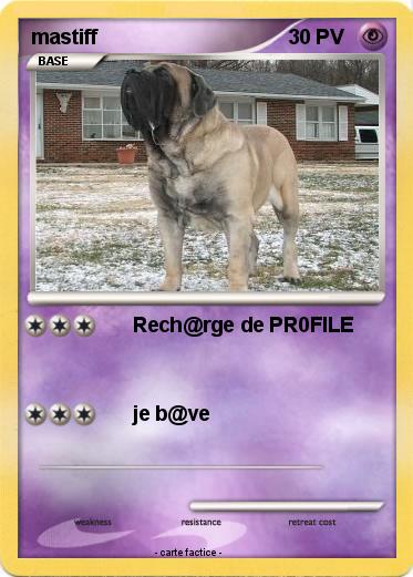Pokemon mastiff