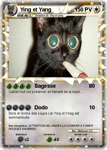 Pokemon Ying et Yang