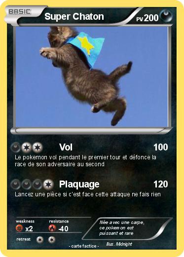 Pokemon Super Chaton