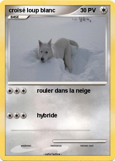 Pokemon croisé loup blanc