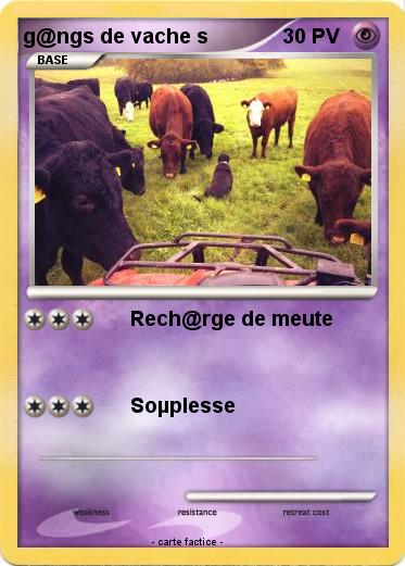 Pokemon g@ngs de vache s