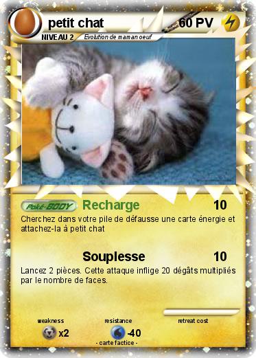 Pokemon petit chat