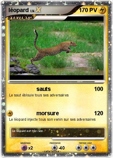 Pokemon léopard