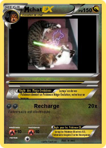 Pokemon chat