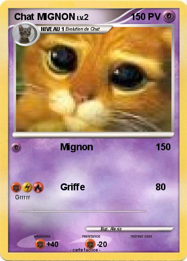 Pokemon Chat MIGNON