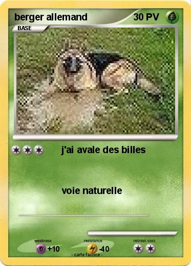 Pokemon berger allemand