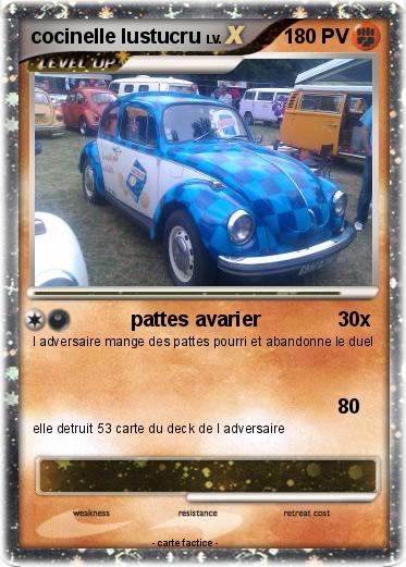 Pokemon cocinelle lustucru