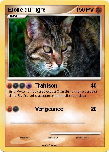 Pokemon Etoile du Tigre