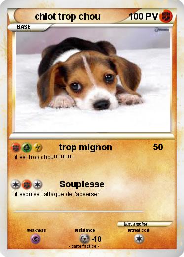 Pokemon chiot trop chou