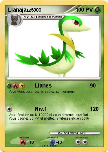 Pokemon Lianaja