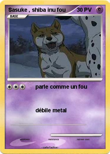 Pokemon Sasuke , shiba inu fou