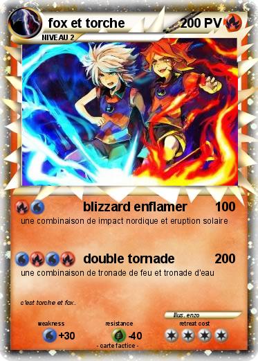 Pokemon fox et torche