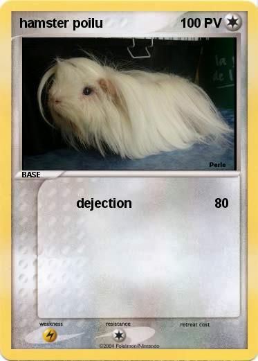 Pokemon hamster poilu