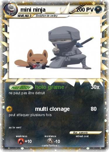 Pokemon mini ninja