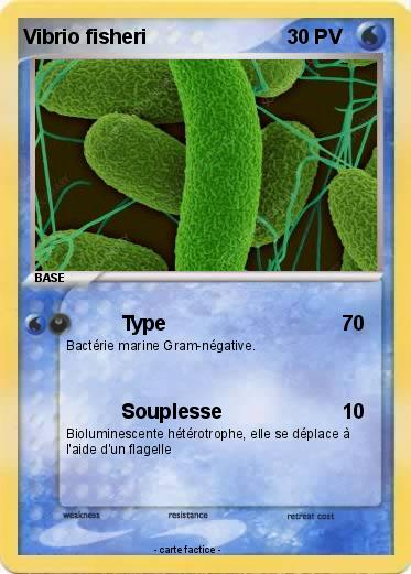 Pokemon Vibrio fisheri