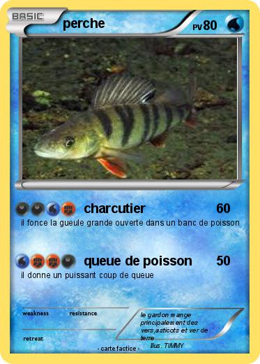 Pokemon perche
