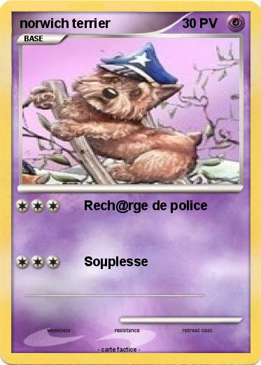 Pokemon norwich terrier