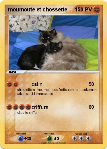 Pokemon moumoute et chossette