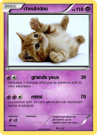 Pokemon choubidou