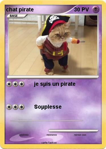 Pokemon chat pirate