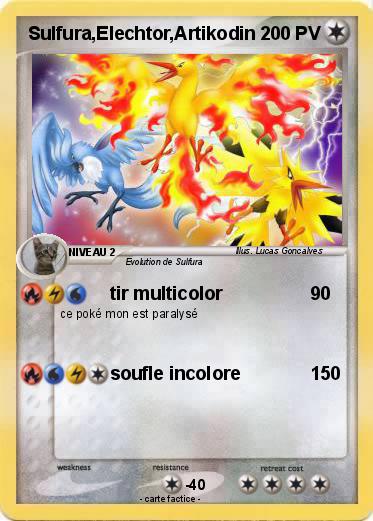 Pokemon Sulfura,Elechtor,Artikodin