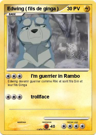Pokemon Edwing ( fils de ginga )