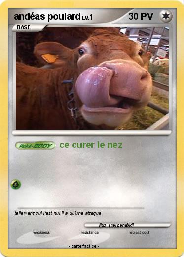 Pokemon andéas poulard