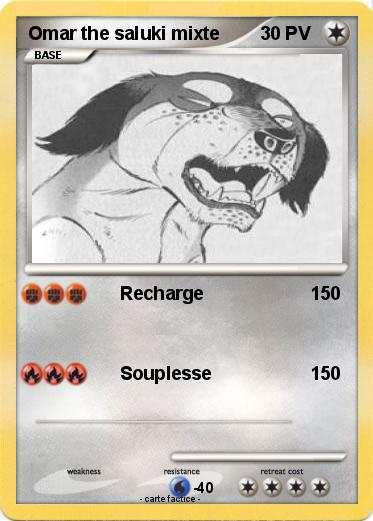 Pokemon Omar the saluki mixte