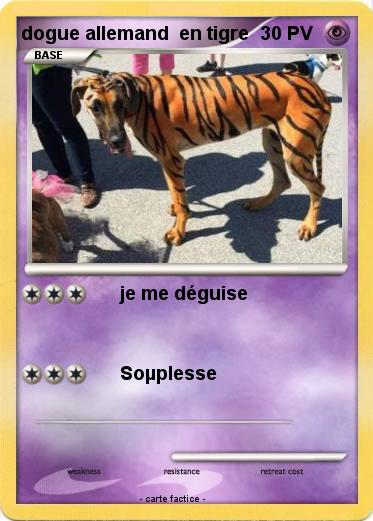 Pokemon dogue allemand  en tigre