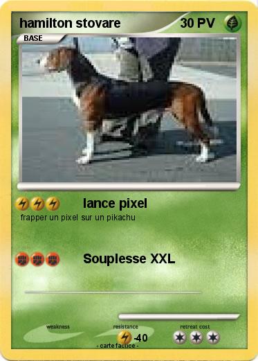 Pokemon hamilton stovare