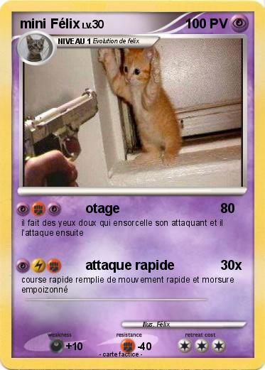 Pokemon mini Félix