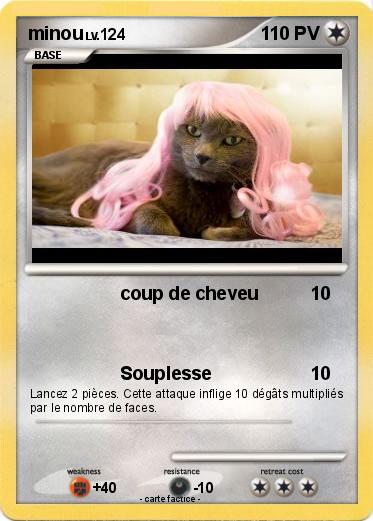 Pokemon minou