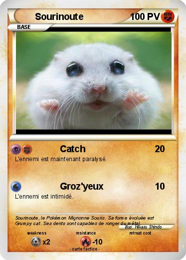 Pokemon Sourinoute
