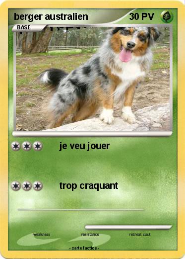 Pokemon berger australien